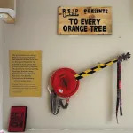 A group of artworks, including one that reads 