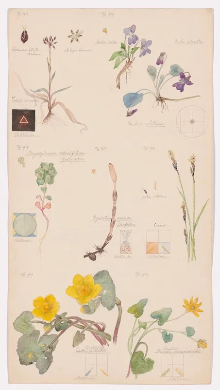 Hilma af Klint
