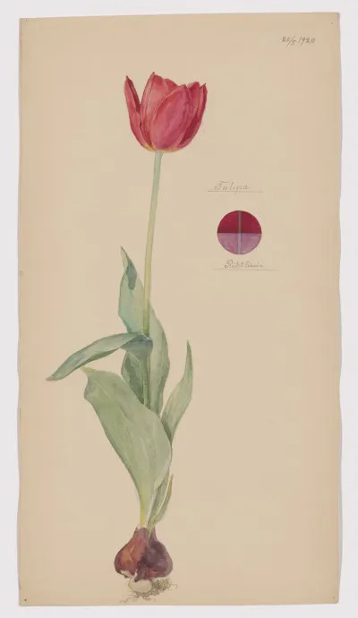 Hilma af Klint