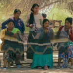 A group of women, some seated and other standing, producing a weaving in a forest.