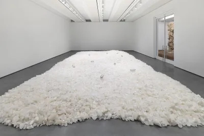 An installation composed of a field of crystals covering a floor. It is lined with silver objects.