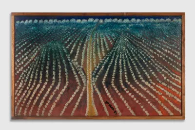 A landscape showing rows and rows of white dots, presumably cotton.
