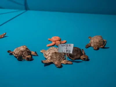 Installation of paper turtles on a blue-painted platform. One holds a sign that reads