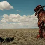 A mascot covered in tinsel and wearing an oversize cowboy hat walks across a desert.